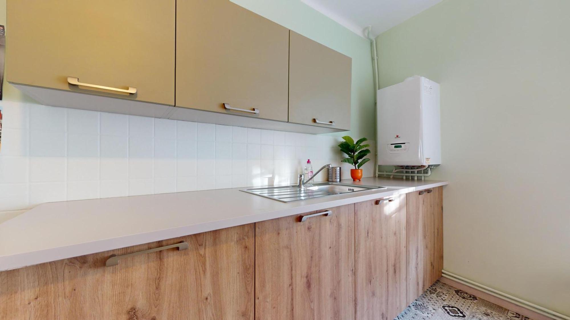 Le Petit Chez Vous Appartement Colmar